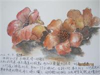 翰墨溢香史瑛速写展之004