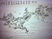 周西省邀史瑛桃园写生素描