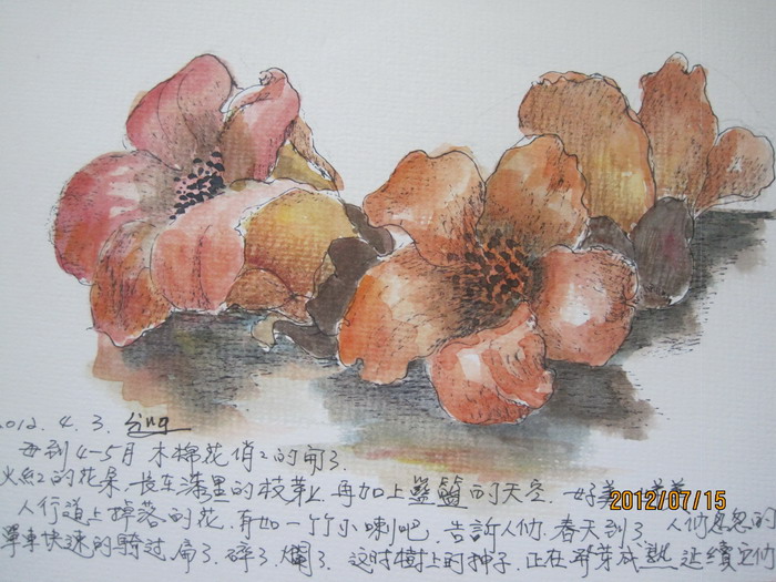 木棉花的季节/史瑛行旅速写