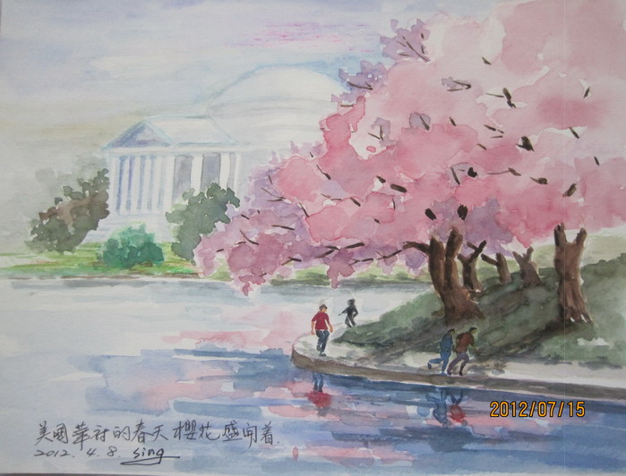 华府樱花盛开/史瑛行旅速写